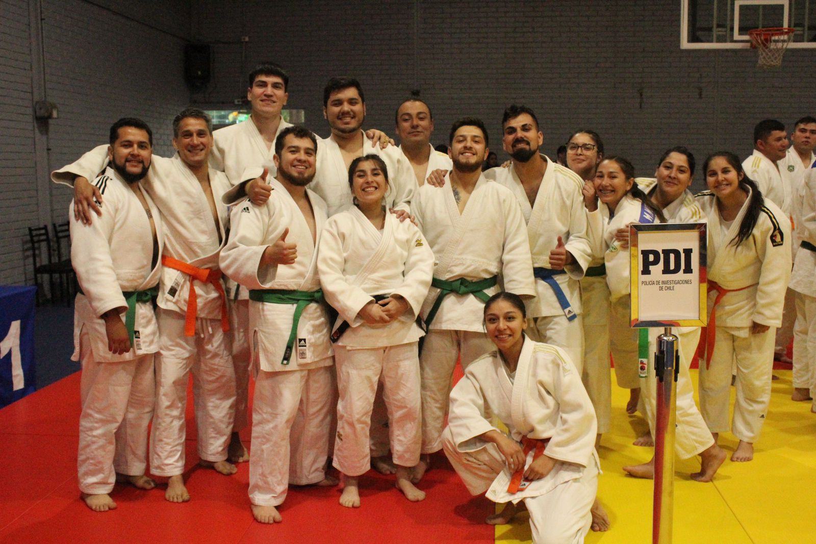 JUDO 8